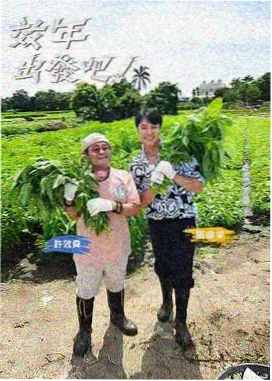 深夜食铺美食纪实综艺画面